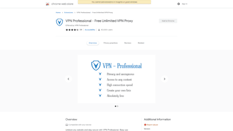VPN Professional